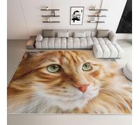 Alfombra Salon Animales Gatos Fotografía Retratos Lindos antideslizante y resistente al desgaste, Alfombras de cocina resistente a las manchas, para Sala Habitacion Comedor 120 x 180 cm Naranja