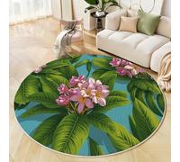 Alfombra Salon de Pelo Corto 90cm Alfombras Redonda Flores Y Hojas Tropicales Alfombra de Área Hojas De Frangipani Y Monstera Antideslizante Muy Suave para Sofá, Dormitorio, Habitación Infantil, Verde