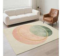 Alfombra Salon Lavable Antideslizante Alfombras Salon Decor Hogar, Tapete Sala, Rugs for Living Room Pila de Bucles Moderno Carpet Protector Suelo para Habitacion Dormitorio 70x140cm Round 13-1125