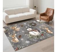 Alfombra Salon Pequeño 70x140cm Antideslizante Alfombras Salon Lavables, Tapetes para Sala Habitacion Dormitorio Comedor, Rug Suave Decorar Carpet Pila de Bucles Moderno, Tapete Quarto Gris 13-102