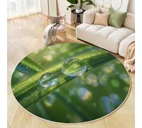 Alfombra Salon Redonda 160cm, Lavables en Lavadora Antideslizante Realismo Fotografía Verde Alfombra, Pelo Corto Suave Hierba Gotas De Rocío Alfombras para Sala de Estar Cocina Habitacion