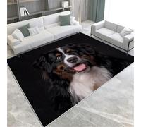 Alfombras de área de animales Bernese Mountain Dog Retrato de pelo corto, alfombras suaves de 60 x 90 cm, lavable para interiores, alfombra antideslizante para sala de estar, dormitorio, oficina