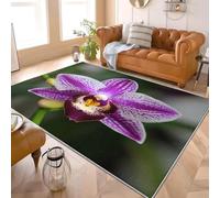 Alfombras Salon de Pelo Corto 80x150 cm OrquíDea HD Florals Alfombras de Habitacion Sala de Extrasuave PúRpura Moderna Alfombra Dormitorio, Alfombra Cocina, Tapete Sala