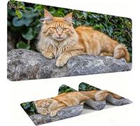 Alfombril Ratón XXL - Alfombril Escritorio, Gato/Animal Mouse Pad Mejora Velocidad y Precisión, Antideslizante Mousepad, Resistente a Salpicaduras Protector Mesa Escritorio 1200 x 600 x 3mm j0zj-113
