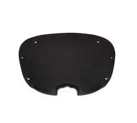 Alfombrilla aislante para capó Para Tesla Para Model 3 2017-2023 Almohadilla Aislamiento Térmico Algodón Insonorizada Para Motor Capó Delantero Cubierta Alfombrilla