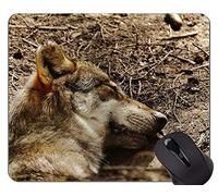 Alfombrilla antideslizante, Wolf Animal Wildlife Office Alfombrilla de ratón...
