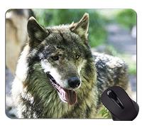 Alfombrilla antideslizante, Wolf Animal Wildlife Office Alfombrilla de ratón
