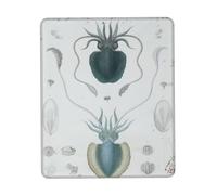Alfombrilla Ciencia Vintage, Arte De Calamares, Biología, Biología Marina 25X30Cm Portátil Alfombrilla para Ratón Antipolvere Mouse Mat para Computadora Juego
