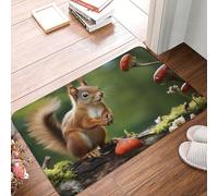 Alfombrilla De Baño Ardilla Roja En Una Pequeña Colina Verde Alfombra para Ducha Absorbente Antideslizante Alfombra Limpia, para Terraza, Bañera, Ducha, 40x60cm