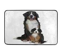 Alfombrilla De Baño Bernese Mountain Dogs Dog Puppy Felpudo Lavable A Máquina Doormats Cuidado Fácil Estera De Entrada por Interior Puerta Dormitorio 40X60 CM