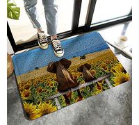 Alfombrilla De Baño Cool 3D Elephant Sitting On The Bench Watching The Sunflower Estera De Entrada Antideslizante Felpudo Impermeable Alfombra Entrada por Puerta Interior Dormitorio 40X60 CM