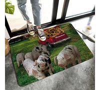 Alfombrilla De Baño Happy Farm Pigs Sunflowers Alfombra Entrada Absorbente Doormats Lavable A Máquina Estera De Entrada por Puerta Interior Dormitorio 40X60 CM