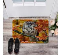 Alfombrilla De Baño Owl In The Mangrove Doormats Impermeable Felpudo Lavable A Máquina Alfombra Entrada por Dormitorio Interior Cocina 40X60 CM