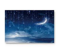 Alfombrilla De Baño Starry Moon Nights Felpudo Interior Atrapar Suciedad Doormats Absorbente Alfombra Entrada por Dormitorio Entrada Casa Cocina 40X60 CM
