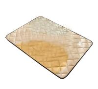 Alfombrilla de dormir para perro, impermeable, antihumedad, para perros grandes, antihumedad, a prueba de fugas, a prueba de orina, para cachorros