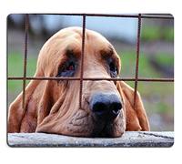 Alfombrilla De Escritorio, Perro Triste Bloodhound Mirando A Través De Los Barrotes Tapete De Juego Bordes Cosidos Mousepad Multifuncional Mouse Mat para Juegos Pc 25X30Cm