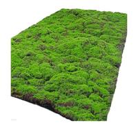 Alfombrilla de espuma de césped artificial realista para proyectos de bricolaje, decoración de pared y decoración de jardín de hadas, diseño reutilizable y ecológico