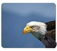 Alfombrilla de Goma Antideslizante para Juegos, Alfombrilla de Goma Eagle In The Wild Themes