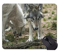 Alfombrilla de goma antideslizante para juegos, Alfombrilla de ratón Wolf Animal Wildlife Office
