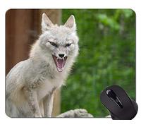 Alfombrilla de Goma Antideslizante para Juegos, Alfombrillas de ratón Fantasy Wolf In A Dark Winter Forest