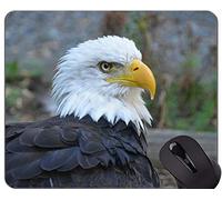 Alfombrilla de goma antideslizante para juegos, no ejecute la alfombrilla de ratón patriótica de la oficina de temas de Eagle