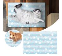 Alfombrilla de hielo para mascotas, para perros, gatos, almohadilla de gel de PVC reutilizable para interiores, diseño duradero para comodidad en climas cálidos, PzY642 (B, 30 x 40 cm)