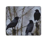 Alfombrilla de mouse para computadora con base de goma antideslizante, diseño de cuervo negro, alfombrilla de ratón lavable, alfombrilla de mouse portátil para laptop, oficina, hogar, 10 x 12 pulgadas