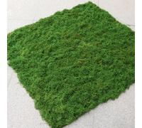 Alfombrilla de musgo artificial para decoración del hogar, césped artificial realista para decoración de jardín y modelos de paisaje, musgo de simulación suave para paredes de plantas y terrarios