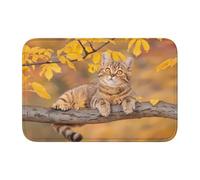 Alfombrilla de piso con borde de bloqueo de 40 x 60 WHJSHOP con imagen de gato en el baúl para inodoro, tocador, casa de vacaciones, baño principal, baño infantil y suite de invitados