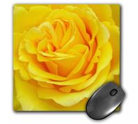 Alfombrilla de rat n 3dRose LLC, 8 x 8 x 0,25 pulgadas, rosa amarilla (mp_21383_1)