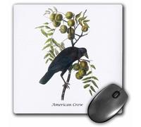 Alfombrilla de rat n 3Drose LLC de 8 x 8 x 0,25 pulgadas, Cuervo americano, de John James Audubon (Mp_114049_1)