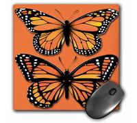 Alfombrilla de rat n 3dRose LLC de 8 x 8 x 0,25 pulgadas: Dos mariposas monarca de colores sobre un fondo naranja a juego (mp_170878_1)
