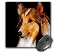 Alfombrilla de rat n 3dRose LLC de 8 x 8 x 0,25 pulgadas, Sheltie, perro pastor de Shetland (mp_638_1)