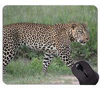 Alfombrilla de ratón antideslizante para juegos de goma, alfombrillas para ratón con la familia de gatos Safari, leopardo