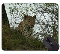 Alfombrilla de ratón antideslizante para juegos de goma, familia de leopardo, alfombrillas para ratón de leopardo
