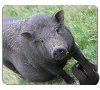 Alfombrilla de ratón antideslizante para juegos Lovely Pig, Hog Funny Cute Piggy Gaming Mouse Pad