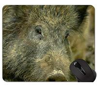 Alfombrilla de ratón Baby Pig, alfombrilla de ratón Hog