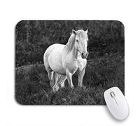 Alfombrilla De Ratón Caballo White De Camarga En La Reserva Natural De Los Pantanos Mouse Pad Pequeña Moderno Antideslizante Mouse Pad, para Hogar, Portátil, 25 x 30cm