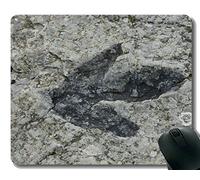 Alfombrilla de ratón con borde de bloqueo, Happy Dinosaur Ignita Office Alfombrilla de ratón