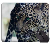 Alfombrilla de ratón con Borde de Bloqueo, India Wild Leopard Antideslizante Goma Base Mousepad