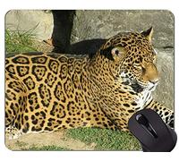 Alfombrilla de ratón con Borde de Bloqueo, Jaguar Cat Family Leopard Mouse Pads