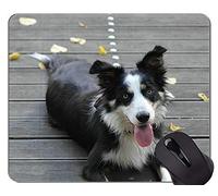 Alfombrilla de ratón con diseño A Dog German Shepherd, Border Collie Alfombrilla de ratón