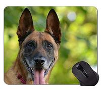 Alfombrilla de ratón con diseño A Dog German Shepherd, Malinois Mouse Pads