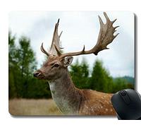 Alfombrilla de ratón, Cornamenta del Fawn - Bordes cosidos