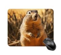 Alfombrilla de ratón cuadrada dibujada a mano para computadora portátil con base de goma antideslizante, 20 x 25 cm, alfombrilla de mouse ultrafina para juegos, computadora, laptop, oficina
