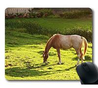 Alfombrilla de ráton de la Carrera de Caballos, Campo equino Animal, Estera del ratón del Caballo