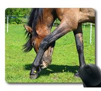 Alfombrilla de ráton de la Carrera de Caballos, Granja equina Animal, Estera del ratón del Caballo