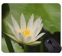 Alfombrilla de ráton del Juego de Las Ilustraciones espirituales sagradas de la Flor de Lotus - cojín de ratón de la Oficina de Lotus