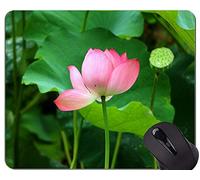 Alfombrilla de ráton del Juego de Las Ilustraciones espirituales sagradas de la Flor de Lotus - Lotus personalizó los Cojines de ratón del Juego del rectángulo
