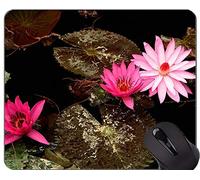 Alfombrilla de ráton del Juego de Las Ilustraciones espirituales sagradas de la Flor de Lotus - Planta Personalizada Alfombrillas de ráton del Juego del rectángulo